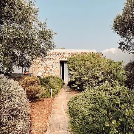 Emma Hosted By Puglia Classics